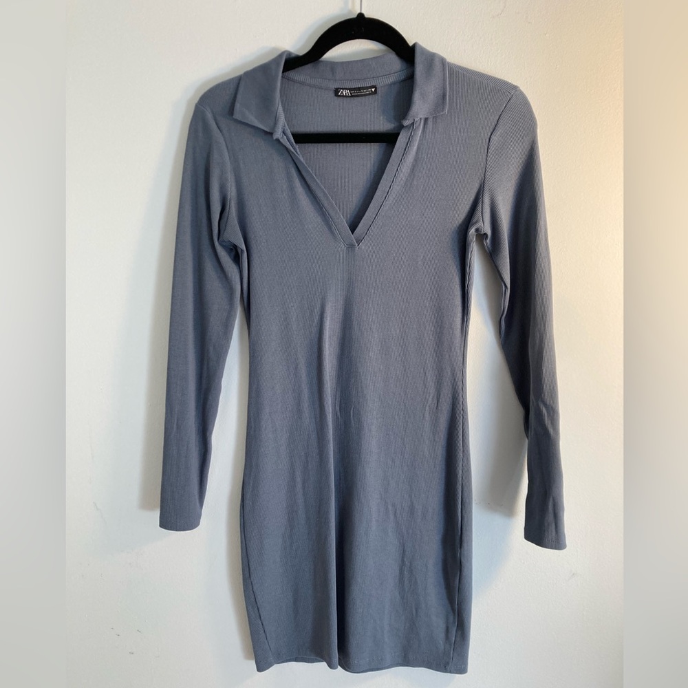 Zara dress (size small)